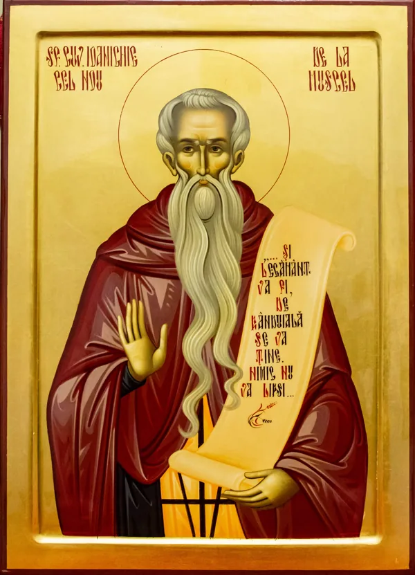Icon of Saint Ioanichie the New of Muscel.